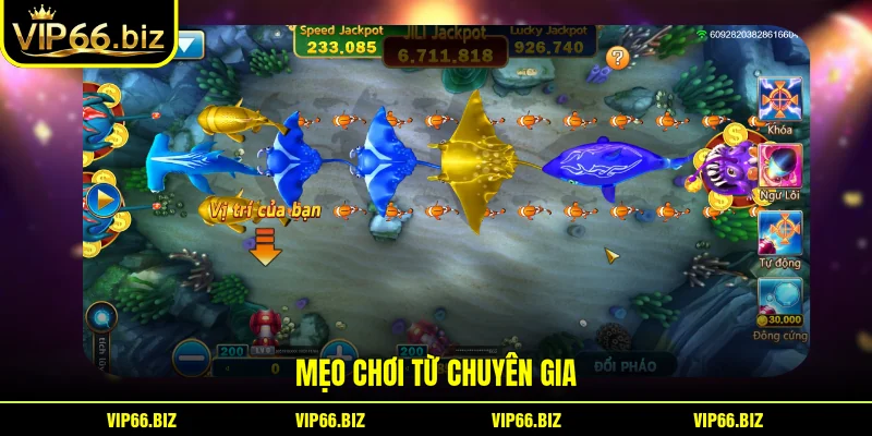 Mẹo chơi từ chuyên gia