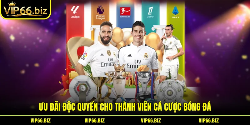 Ưu đãi độc quyền cho thành viên cá cược bóng đá Ưu đãi độc quyền cho thành viên cá cược bóng đá